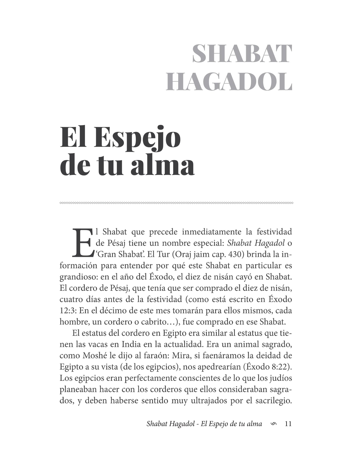 Mayanot: Ideas filosóficas y cabalísticas sobre las festividades judías (eBook)